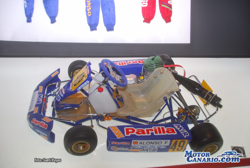 Fernando Alonso Collection 2013