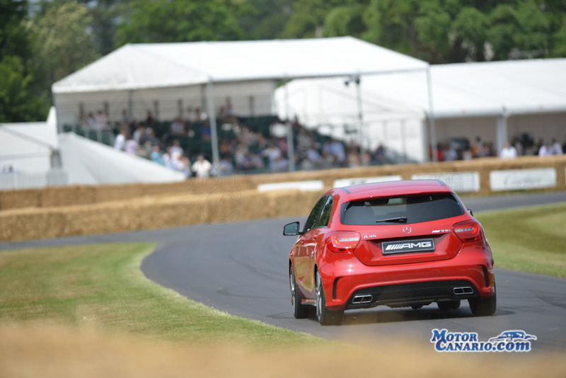 Festival of Speed Goodwood 2013